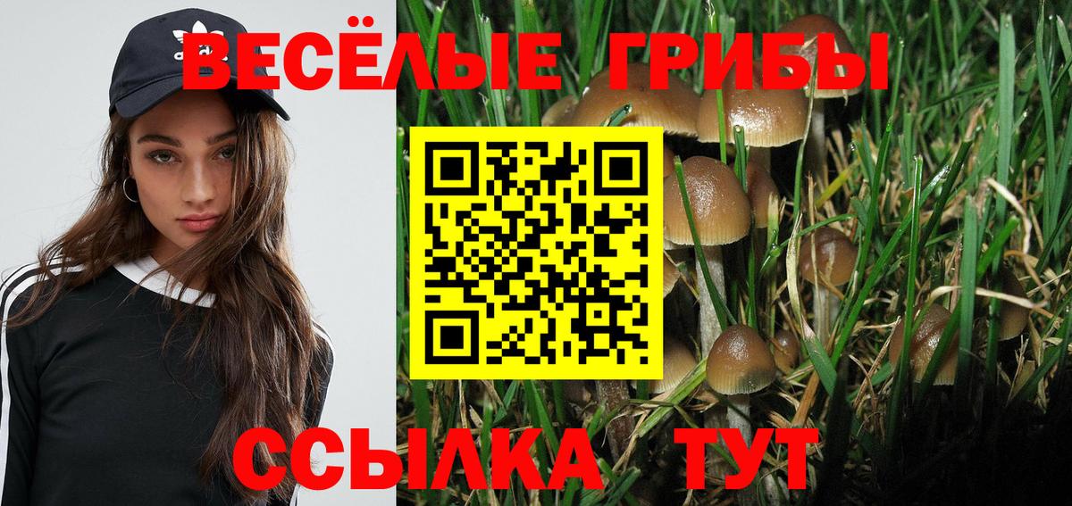 Псилоцибиновые грибы прущие грибы  наркошоп  Ейск  Вход с VPN 